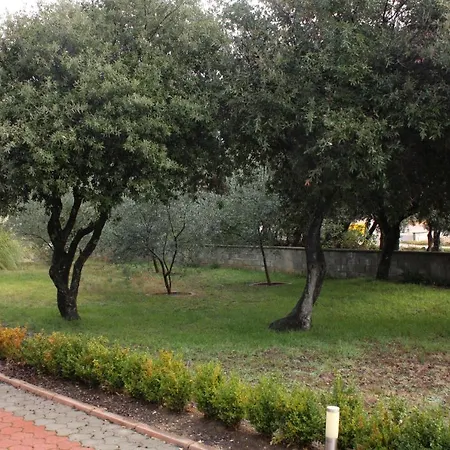 Apartment - Mulo 5951b